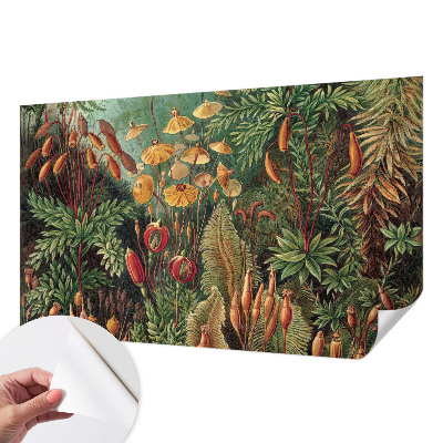 Tapetai Eksotisk turi