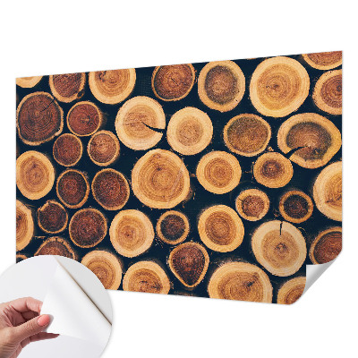 3D fototapetas su medinių apskritimų motyvu