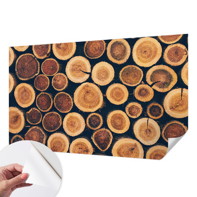 3D fototapetas su medinių apskritimų motyvu