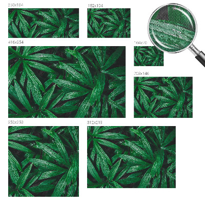 Savaime lipnus fototapetas Natūralus žalias išblukimas