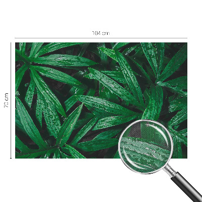 Savaime lipnus fototapetas Natūralus žalias išblukimas