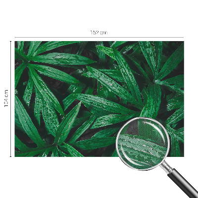 Savaime lipnus fototapetas Natūralus žalias išblukimas