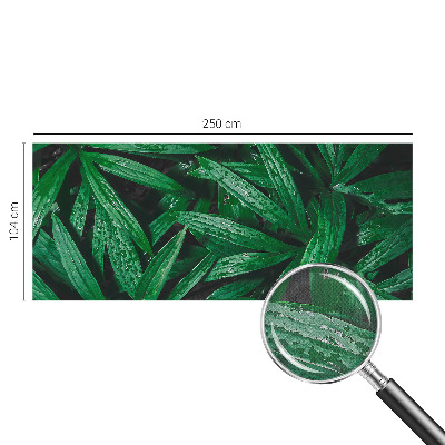 Savaime lipnus fototapetas Natūralus žalias išblukimas