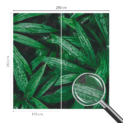 Savaime lipnus fototapetas Natūralus žalias išblukimas