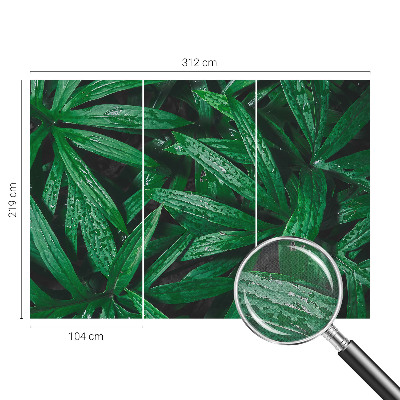 Savaime lipnus fototapetas Natūralus žalias išblukimas