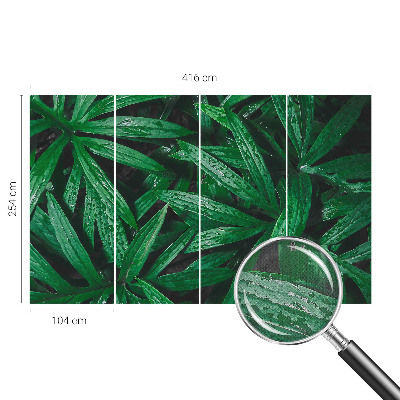 Savaime lipnus fototapetas Natūralus žalias išblukimas