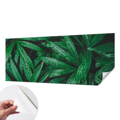 Savaime lipnus fototapetas Natūralus žalias išblukimas