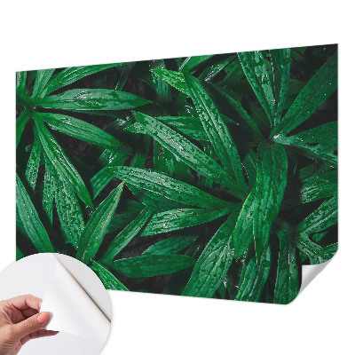 Savaime lipnus fototapetas Natūralus žalias išblukimas