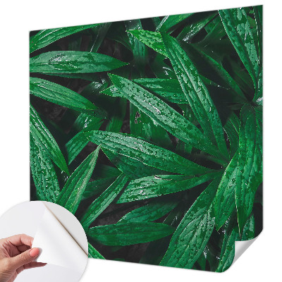 Savaime lipnus fototapetas Natūralus žalias išblukimas