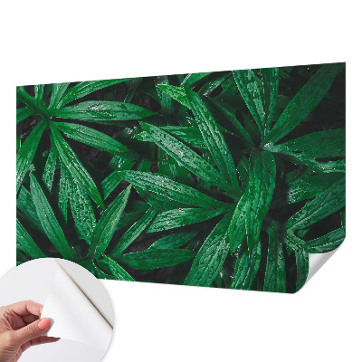 Savaime lipnus fototapetas Natūralus žalias išblukimas