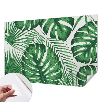 Fototapetas vaikams Tropikų blyškumas