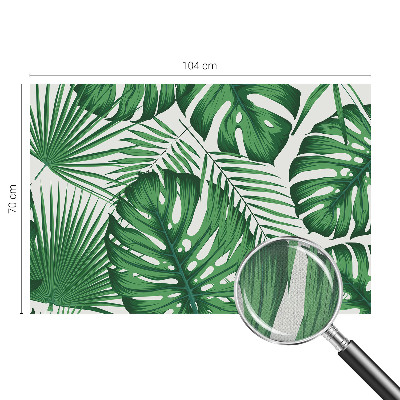 Fototapetas vaikams Tropikų blyškumas