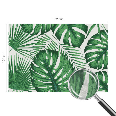 Fototapetas vaikams Tropikų blyškumas