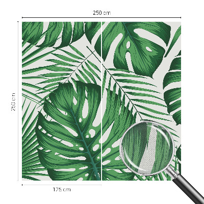 Fototapetas vaikams Tropikų blyškumas