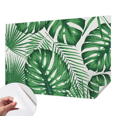 Fototapetas vaikams Tropikų blyškumas