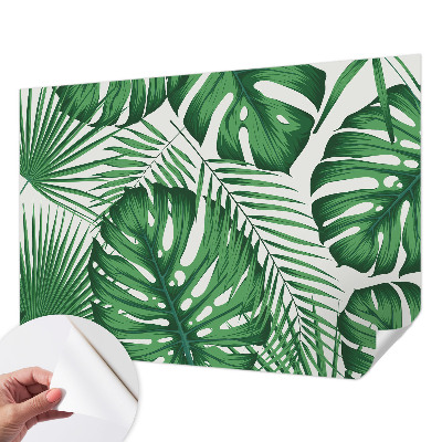 Fototapetas vaikams Tropikų blyškumas