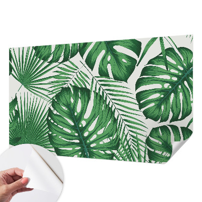 Fototapetas vaikams Tropikų blyškumas