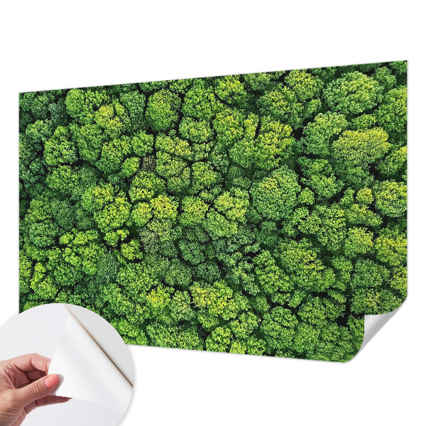 3D fototapetas su miško panorama