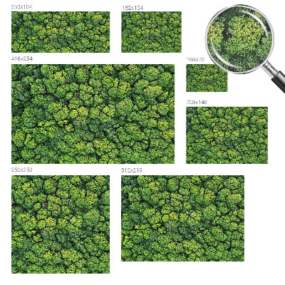 3D fototapetas Skovpanorama