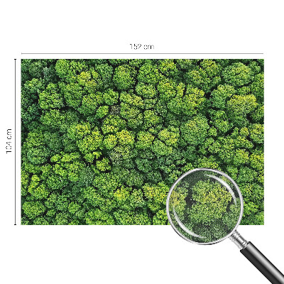 3D fototapetas su miško panorama