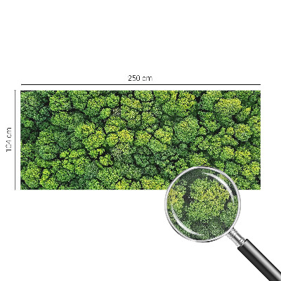 3D fototapetas su miško panorama