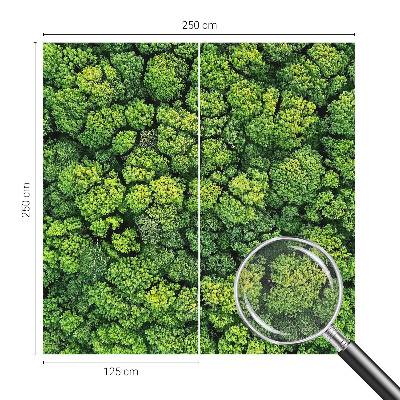 3D fototapetas su miško panorama