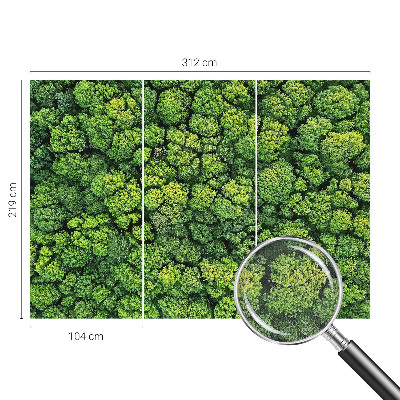 3D fototapetas su miško panorama