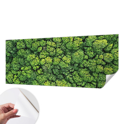 3D fototapetas su miško panorama
