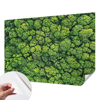 3D fototapetas su miško panorama