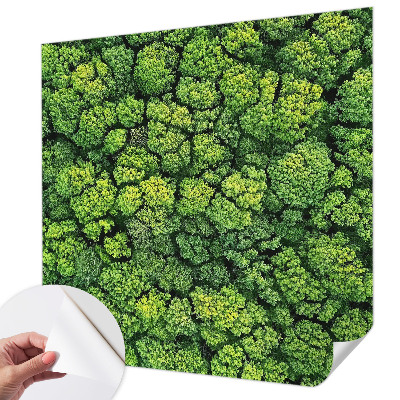 3D fototapetas su miško panorama