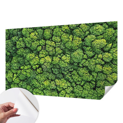 3D fototapetas su miško panorama