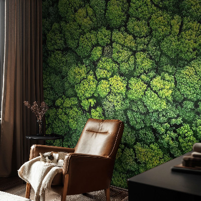 3D fototapetas Skovpanorama