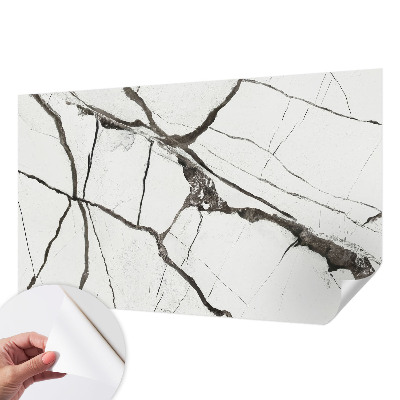 Savaime lipnus fototapetas Marmuro revneris