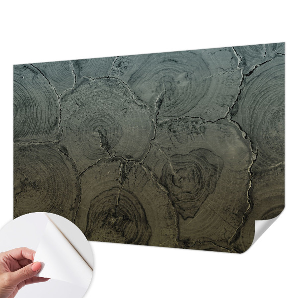 3D fototapetas su medžio žiedų motyvu