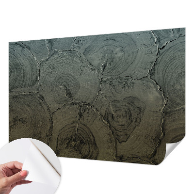 3D fototapetas su medžio žiedų motyvu