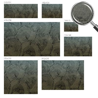 3D fototapetas Træringe