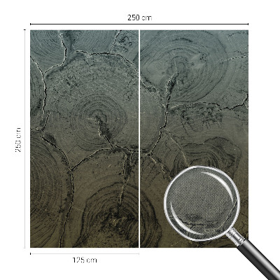 3D fototapetas su medžio žiedų motyvu
