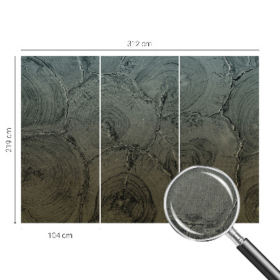 3D fototapetas su medžio žiedų motyvu
