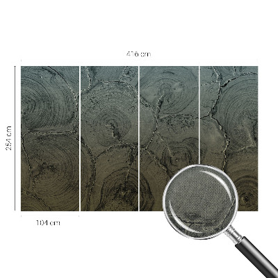 3D fototapetas Træringe