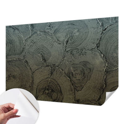 3D fototapetas su medžio žiedų motyvu