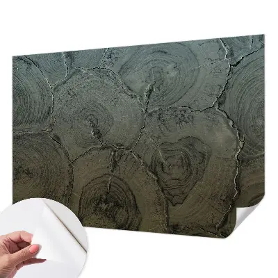 3D fototapetas su medžio žiedų motyvu