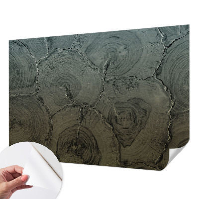 3D fototapetas Træringe