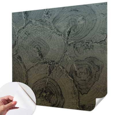 3D fototapetas su medžio žiedų motyvu