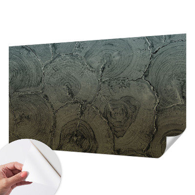 3D fototapetas su medžio žiedų motyvu