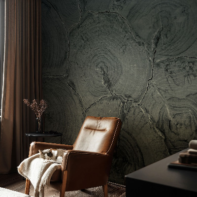 3D fototapetas Træringe