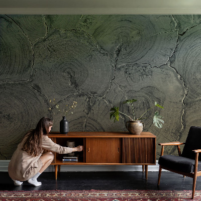 3D fototapetas Træringe