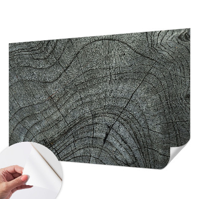 Savaime lipnus fototapetas Kornmønster