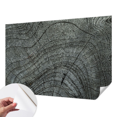 Savaime lipnus fototapetas Kornmønster