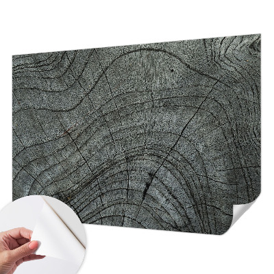 Savaime lipnus fototapetas Kornmønster