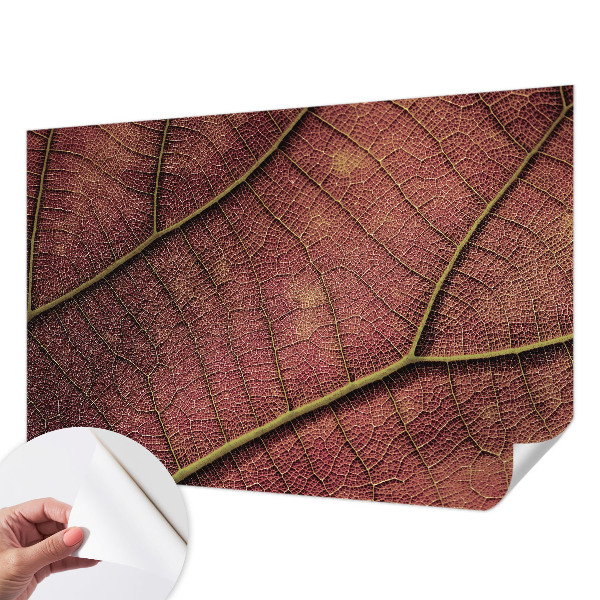 3D fototapetas Tekstūros peilis